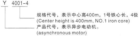 西安泰富西玛Y系列(H355-1000)高压YR6301-8/900KW三相异步电机型号说明