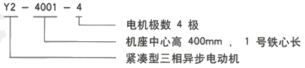 YR系列(H355-1000)高压YR6301-8/900KW三相异步电机西安西玛电机型号说明